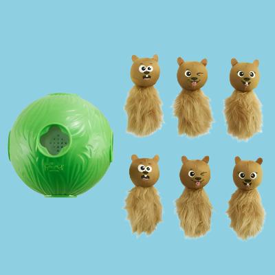 Nina Ottosson - Dog Snuffle N' Treat Bal Groen