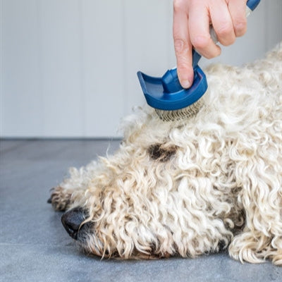 Mikki Doodle Grooming Kit Met Kam En Slickerborstel
