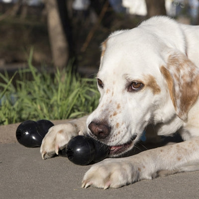 Kong Extreme Goodie Bone