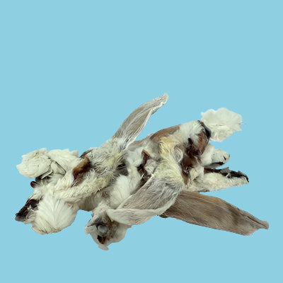 Petsnack Konijnenoren Met Vacht
