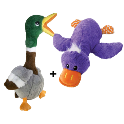 Combideal - Kong Comfort Jumbo Eend Assorti (40 CM) + Kong Shakers Honkers Eend (45 CM)