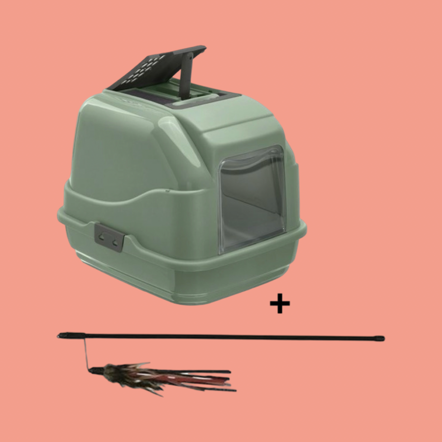 Groene kattenbak met deksel en transparante ingang, plus een kattenhengel met veren.