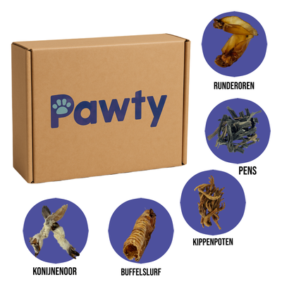 Puppybox Pawty