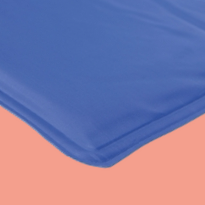 Trixie - Koelmat Blauw