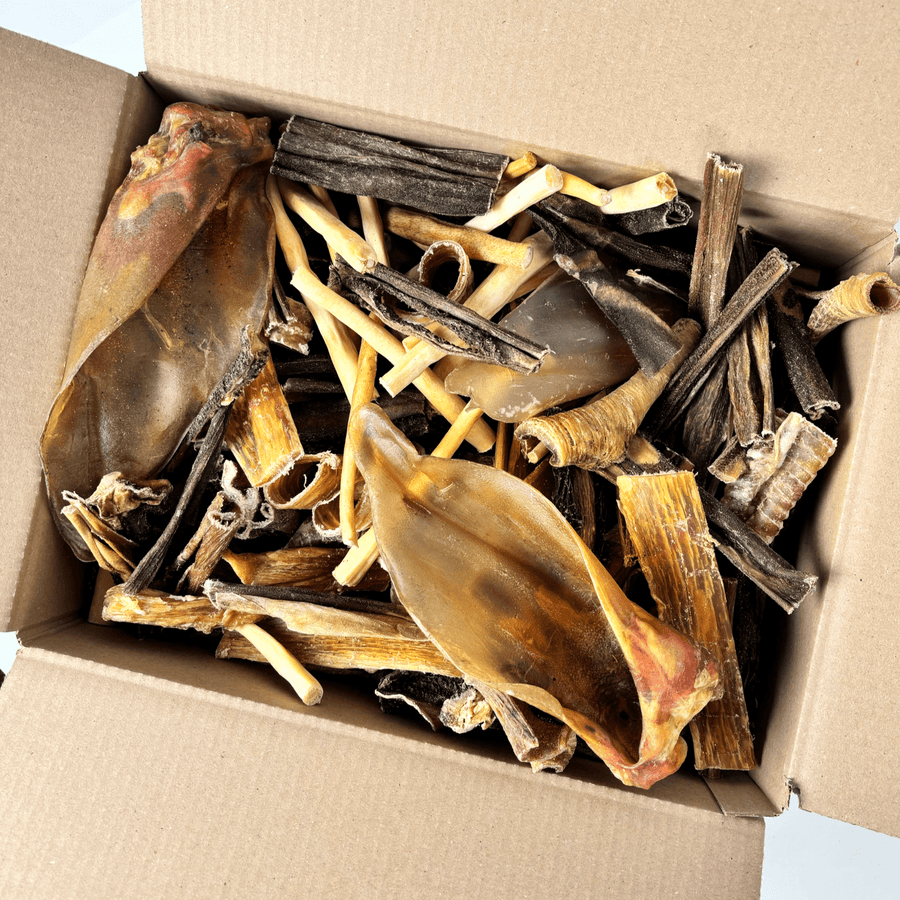 Diverse selectie van 100% natuurlijke hondensnacks in een kartonnen snackbox.