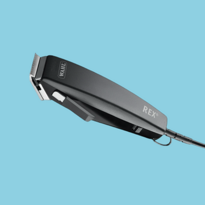 Wahl - Rex Tondeuse