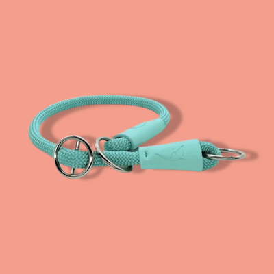 Morso - Half Slip Halsband Hond Regular Rope Gerecycled Aquamarine Blauw