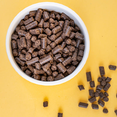 Farm Food - High Energy Schotse Zalmolie Hondenvoer + Snackpakket t.w.v. €10