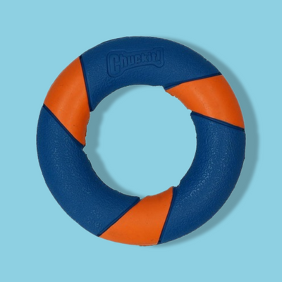 Chuckit - Ultra Squeaker Ring