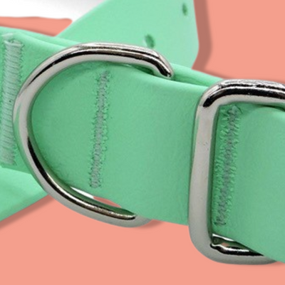 Morso - Halsband Hond Waterproof Gerecycled Carribean Green Groen