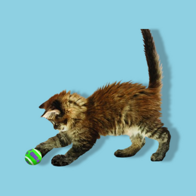 Kong - Kat Tennisballen Met Bellen