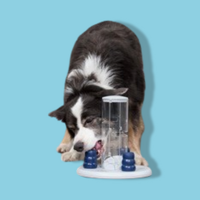 Trixie - Dog Activity Gambling Tower