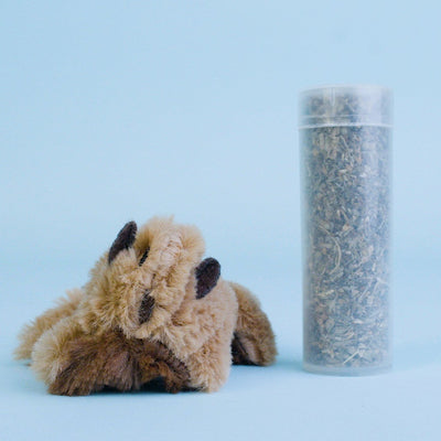 Kong - Kat Catnip Bever