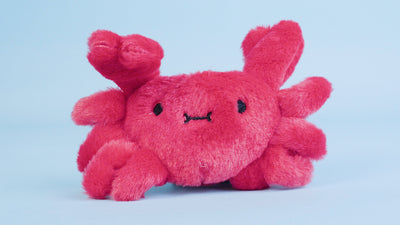 Jolly Moggy - Under The Sea Crab