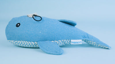 Buster & Beau - Boutique Walvis
