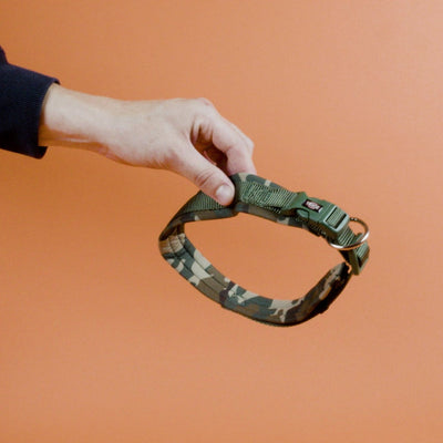 Trixie - Premium Halsband Hond Neopreen Camouflage Groen