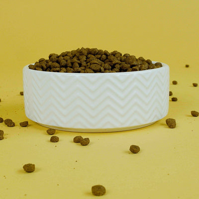 Easypets - Tasty Chicken Kitten Kattenvoer