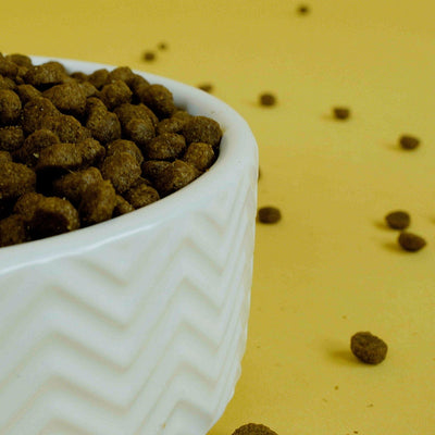 Easypets - Tasty Chicken Kitten Kattenvoer