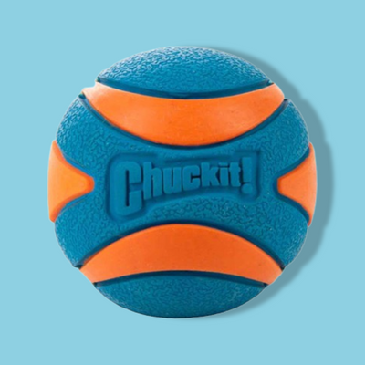 Chuckit - Ultra Squeaker Bal