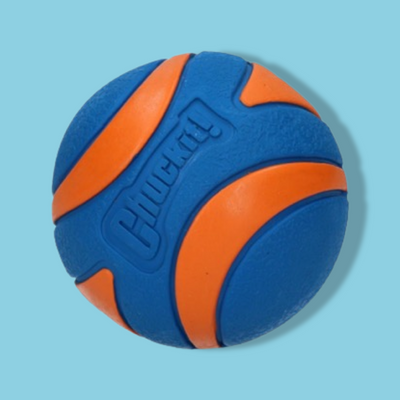 Chuckit - Ultra Squeaker Bal