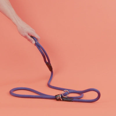Hunter - Retrieverlijn Met Stop Freestyle Paars
