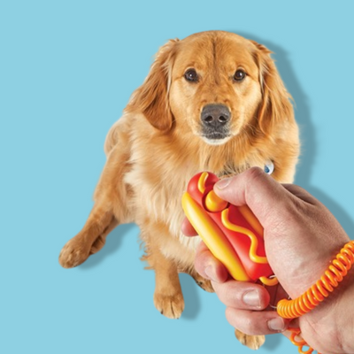 Brightkins - Smarty Pooch Training Clicker Hotdog