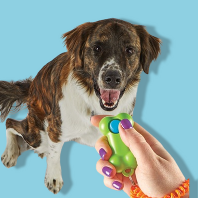 Brightkins - Smarty Pooch Training Clicker Bone