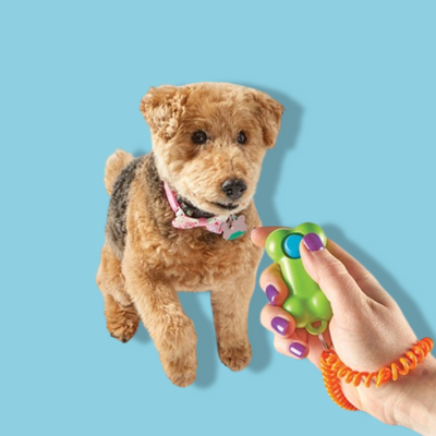 Brightkins - Smarty Pooch Training Clicker Bone