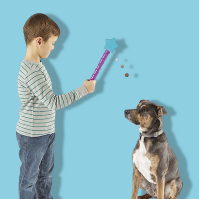 Brightkins - Magic Wand Treat Dispenser Star