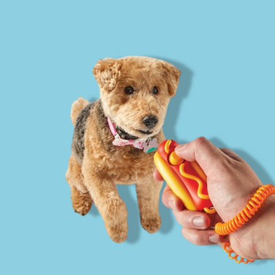 Brightkins - Smarty Pooch Training Clicker Hotdog